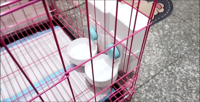 宠物食具水具