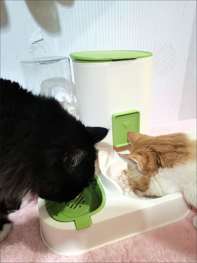宠物食具水具