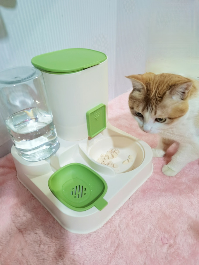 宠物食具水具