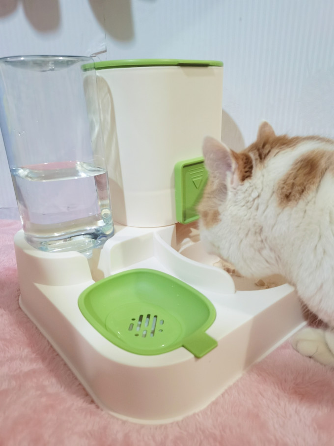 宠物食具水具