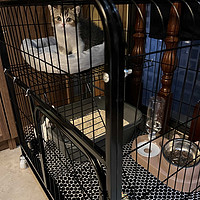 猫笼家用室内猫别墅超大空间带厕所一体式宠物二层猫舍猫屋猫笼子