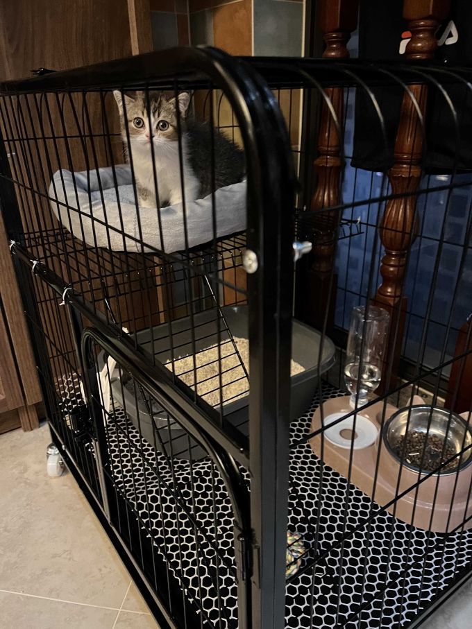 猫笼/猫别墅