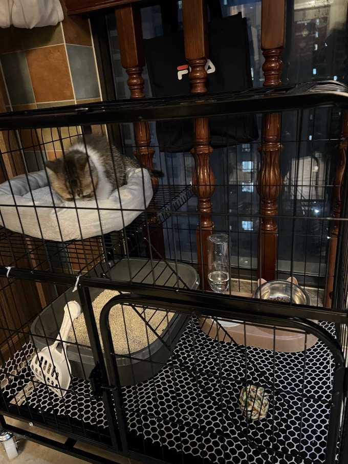 猫笼/猫别墅