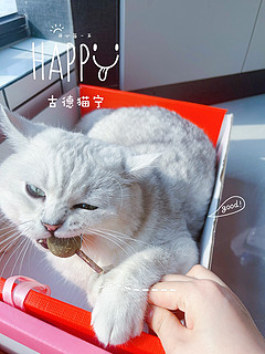 猫孩子的薄荷棒棒糖，越吃越上头，不到3元1支，一支可以吃好久！