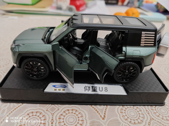 中精质造模型