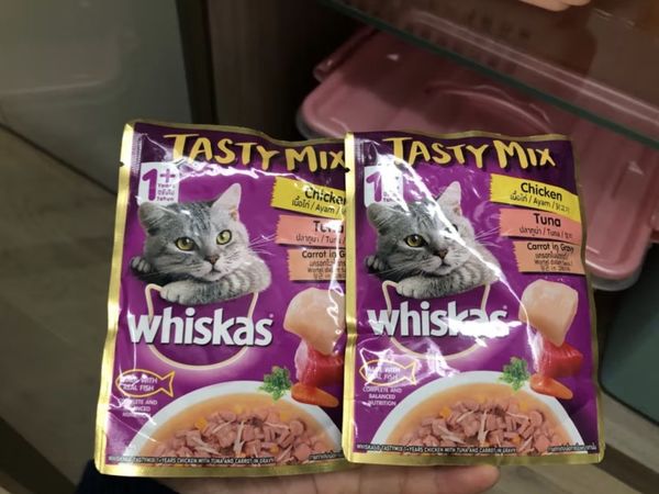 伟嘉猫零食成猫全价妙鲜包营养加油站系列牛肉味85g*12整盒装