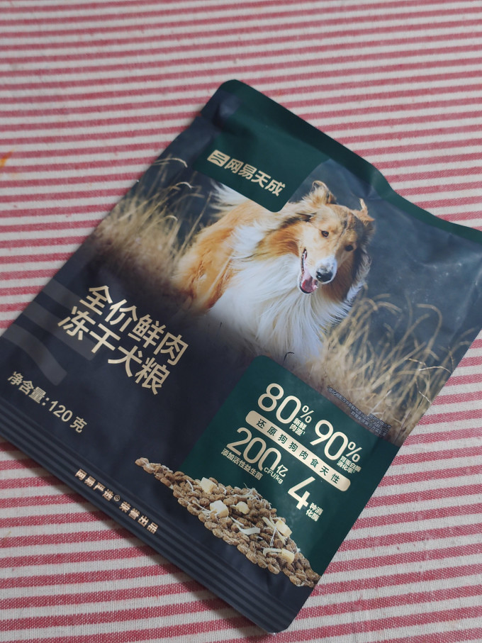 网易天成狗粮