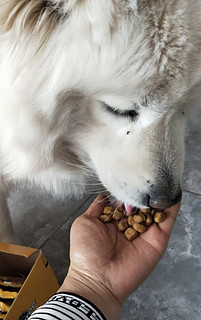 宝路宠物狗粮成犬全价粮通用犬金毛拉不拉多萨摩耶鸡肉味10kg