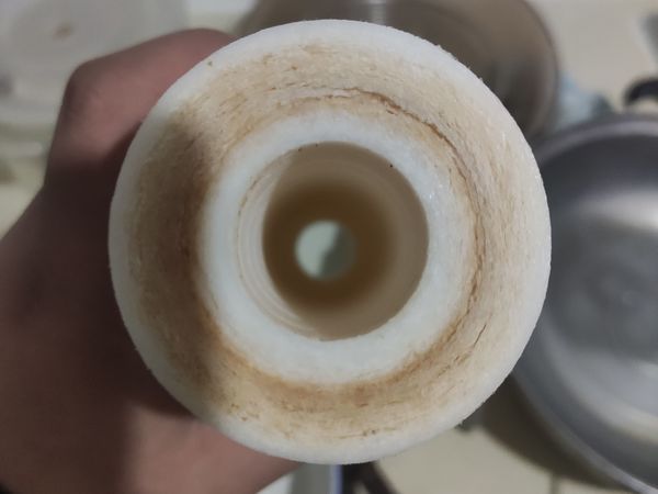 用了5个月的一级滤芯已经这么脏了