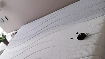 半日闲空气啵啵护脊记忆棉席梦思床垫：让你拥有舒适的睡眠体验