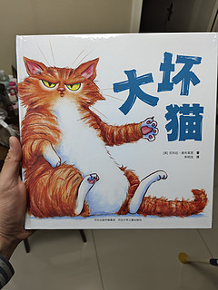 儿童绘本之大坏猫