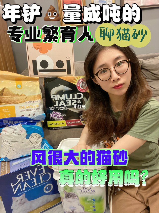 风很大的猫砂测评第一弹！繁育人说猫砂！
