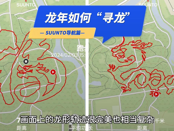 龙年如何寻龙