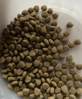 派得猫粮 成猫幼猫蓝猫布偶英美短流浪猫鲜肉益生菌全价全阶段通用型 