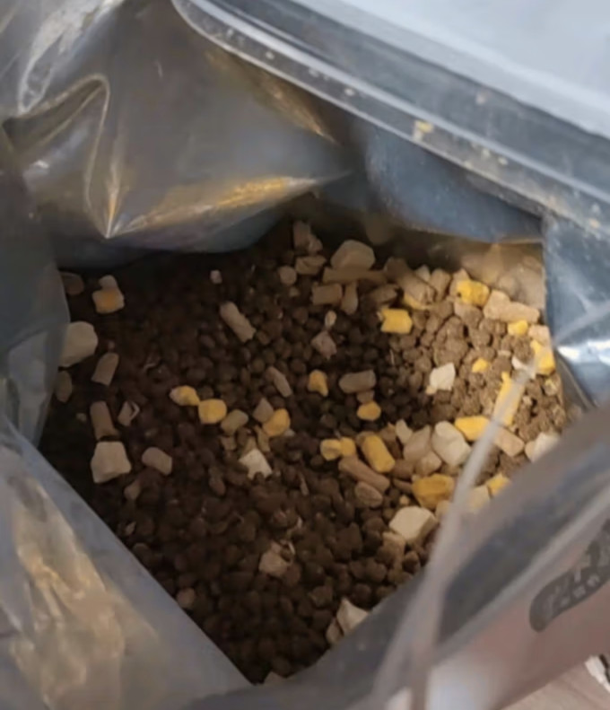 台派狗狗干粮