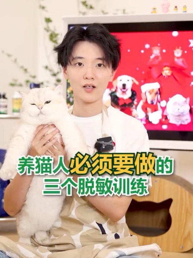 猫咪脱敏训练秘籍🐱