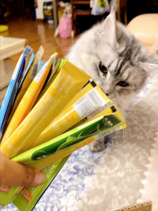 乐迪恩(LOERDIEN) 鸡肉配方猫条