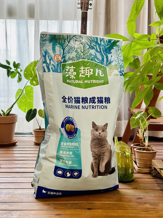 它是流浪猫的“老熟人”了！