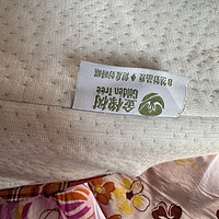 金橡树泰国天然乳胶枕