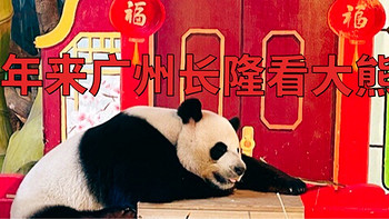 春节｜2024年过年来长隆野生动物世界看大熊猫呀！黄金年卡会员来推荐攻略～