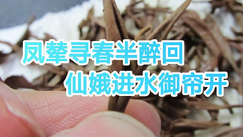 茶道人生 篇八十：仙娥进水御帘开