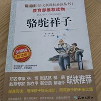 一本深刻隐射中国近代现状的小说
