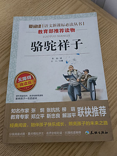 一本深刻隐射中国近代现状的小说
