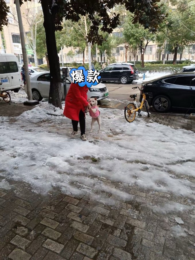 京东京造宠物洗护