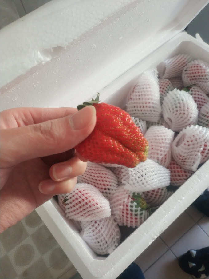 兰怜新鲜水果