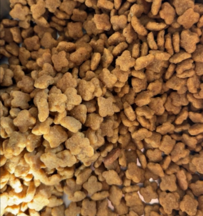 皇家狗狗干粮