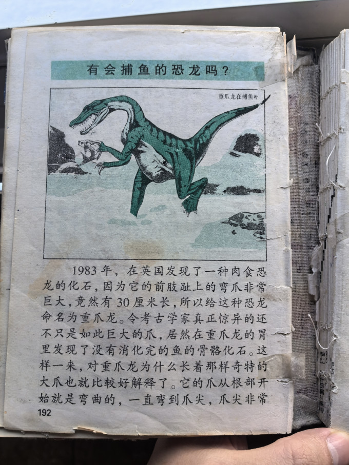 五洲传播出版社少儿读物