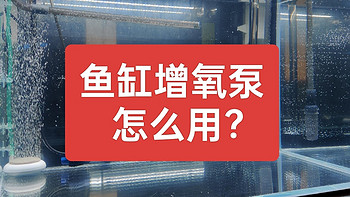 我们养观赏鱼，增氧泵到底该不该用？什么时候用？怎么用？