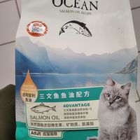 猫主子吃得好，才能撸的好