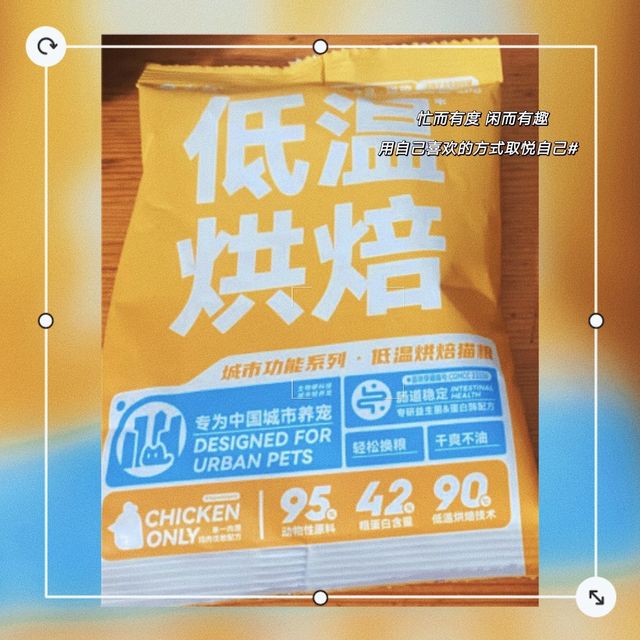 有鱼低温烘焙全价无谷猫粮