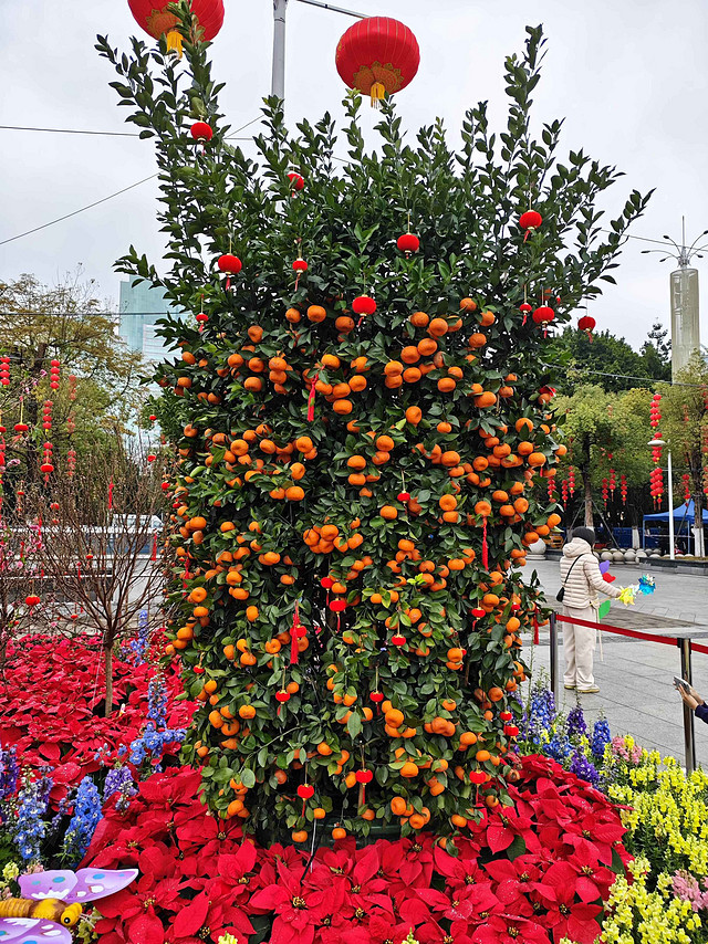 春节去逛花卉市场了