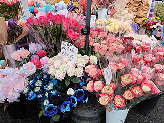 春节去逛花卉市场了