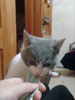 猫条，让猫咪欲罢不能的美味！