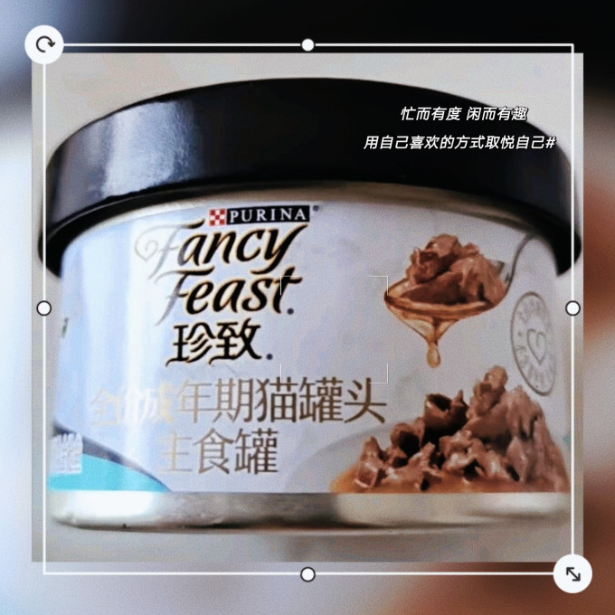 珍致猫咪湿粮/罐头