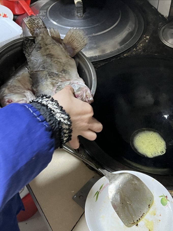 仙泉湖鱼类