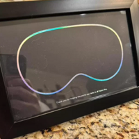 苹果员工因研发 Vision Pro 头显获赠独特纪念品