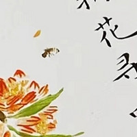 我在人间折花寻味