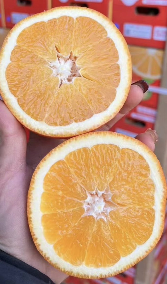 佳农新鲜水果