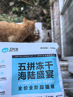 这么漂亮的三花猫猫，咋就斗鸡眼了呢？