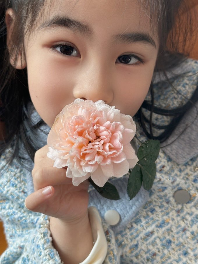 芝霖鲜花绿植
