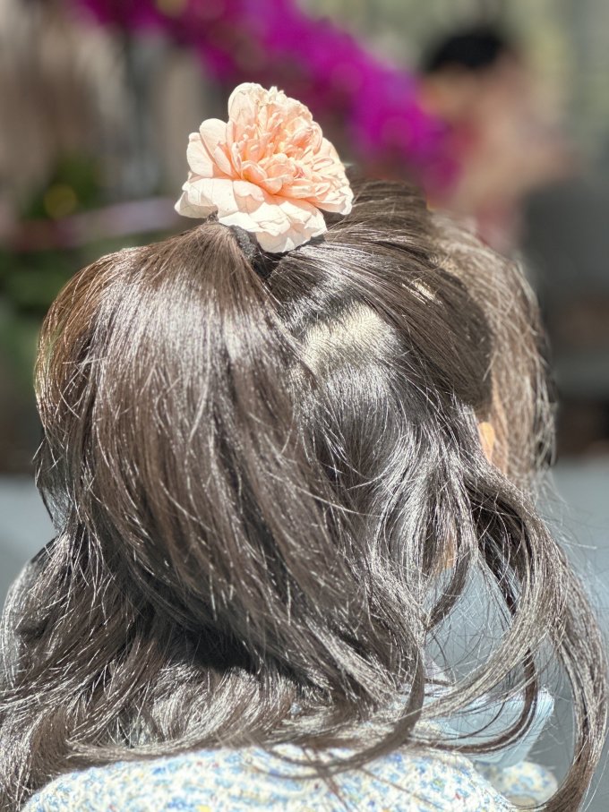 芝霖鲜花绿植