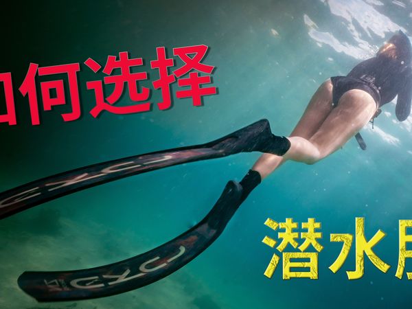 潜水服怎么选 | 潜水教学（二十一）：如何选择一款适合你的潜水服 How to choose the right wet suit for diving