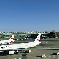 常旅客 篇一百三十：日本航空（JAL）东京羽田至广州白云经济舱飞行体验报告