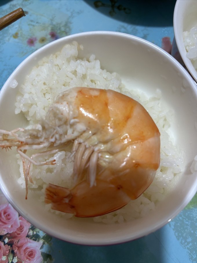 百年渔港虾类