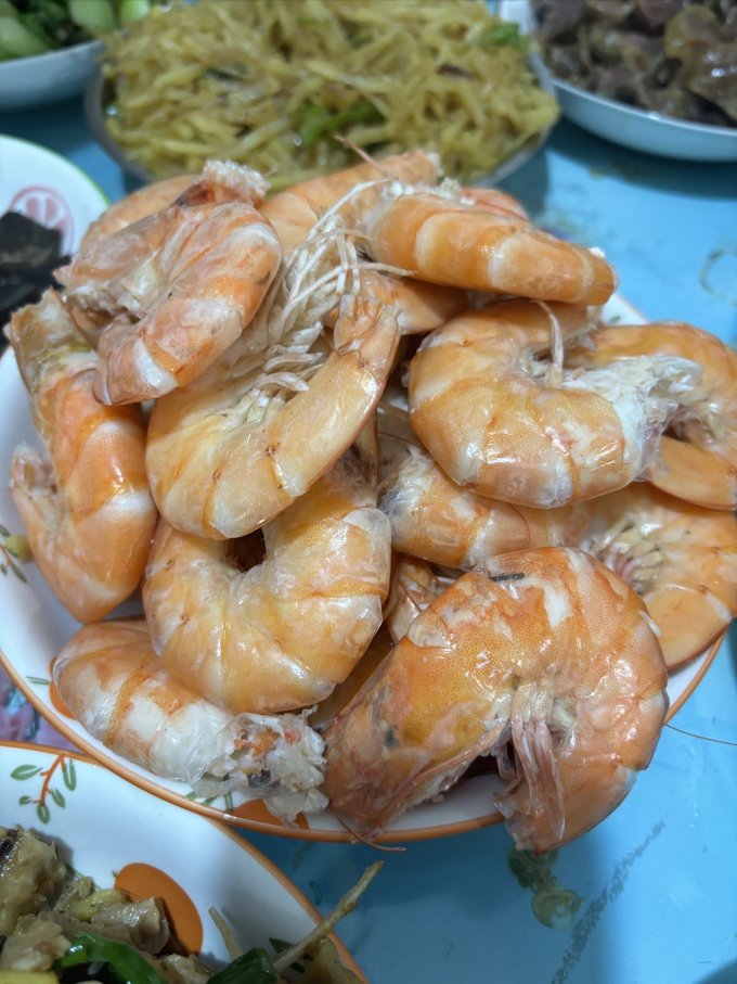 百年渔港虾类