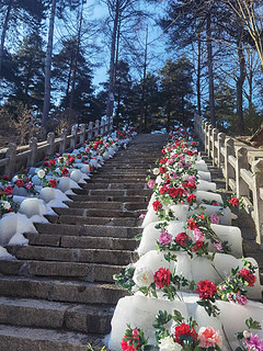 春节遇上情人节，打卡雪后洛阳白云山